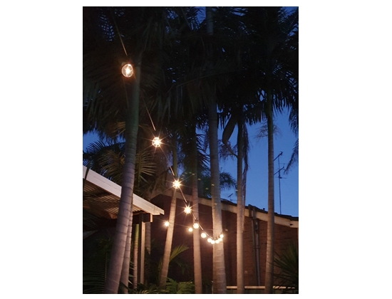 Festoon Lighting